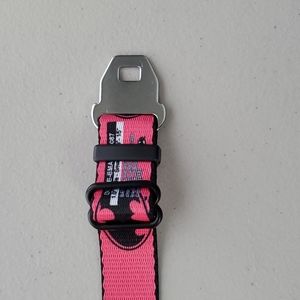 🆕️ Batgirl Dog Collar